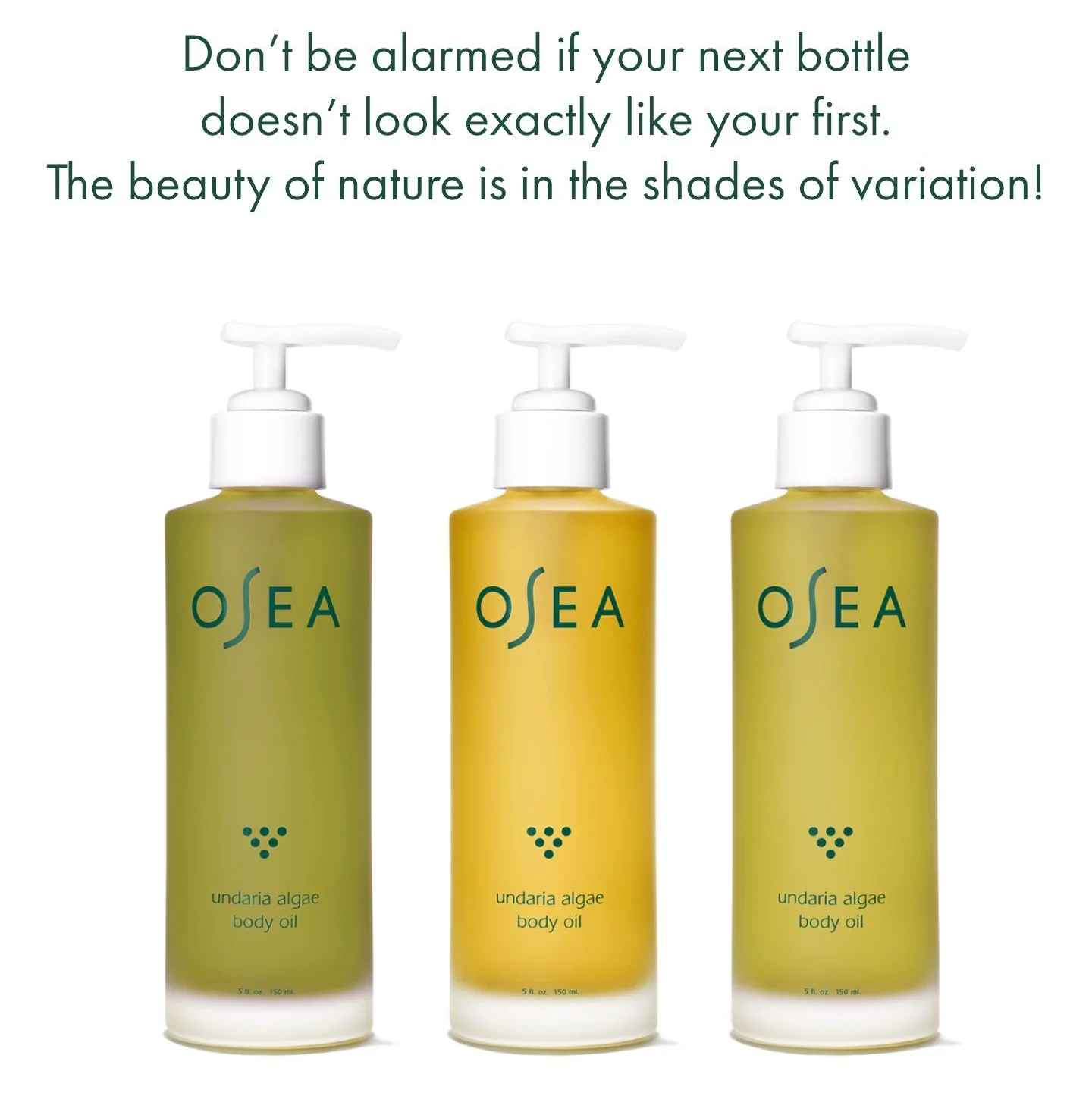 Undaria Algae Body Oil - Image 3